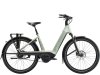 Trek Charter+ 4 N5 B 540 LS L Lichen Green